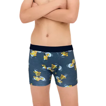 Chlapecké spodní prádlo Boxerky chlapecké Cornette 700/156 Hornet 110/116 Šedá