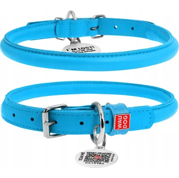 Obojek pro psa Kožený obojek pro psa klasický Waudog vel. L