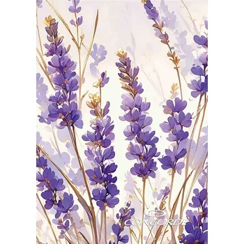 Zápisník Kniha záznamní lesklá A4 linka, 100listů mix motivů