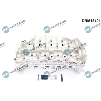Motor automobilu Hlava válce Dr.Motor Automotive DRM18401