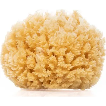 Becasan Nature Přírodní masážní mořská houba