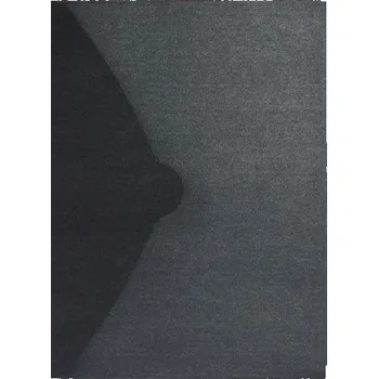 Pořadač / Organizér A4 Galeria Papieru