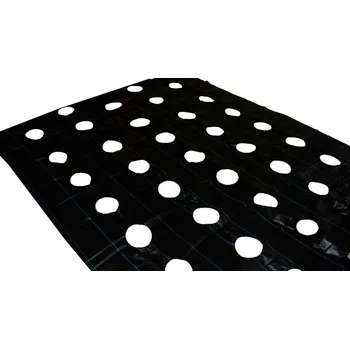 Mulčovací textilie Bestent Agrotextilie s otvory 2,2x10m 90g/m2