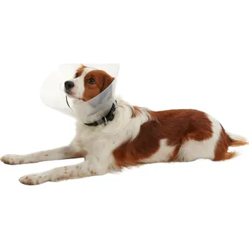 Ochranný límec pro zvířata Límec ochranný plast CLIC Collar 20cm 1ks