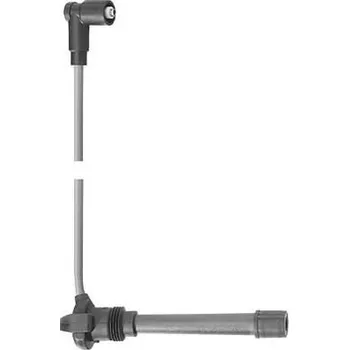 Zapalovací kabel Kabel zapalovací svíčky BorgWarner (BERU) R282