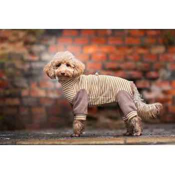 Obleček pro psa Vsepropejska FitMax pružný overal pro psa Barva: Hnědá, Délka zad (cm): 30, Obvod hrudníku: 34 - 42 cm