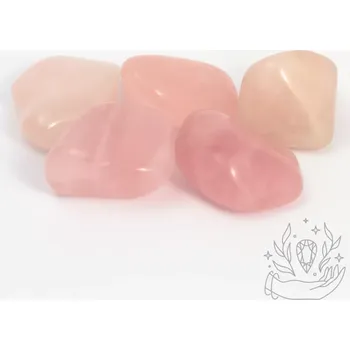 Růženín XL (3 - 4 cm)