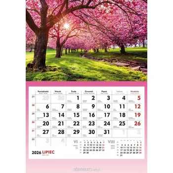 Obraz Nástěnný kalendář Michalczyk i Prokop 2026