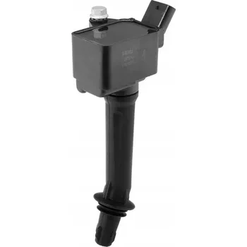 Zapalovací cívka Zapalovací cívka BorgWarner ZSE293