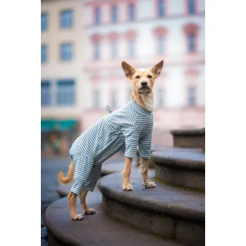 Obleček pro psa Vsepropejska Prime pružný overal pro psa Barva: Modrá, Délka zad (cm): 40, Obvod hrudníku: 44 - 52 cm