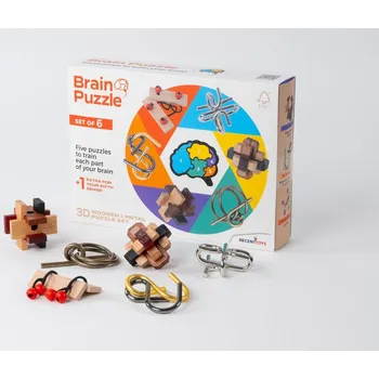 Hlavolam RECENTTOYS Brain Puzzle - sada 6 kusů