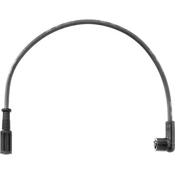 Zapalovací kabel Sada kabelů pro zapalování BorgWarner (BERU) ZEF787