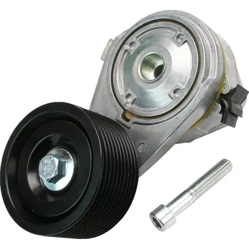 Rozvod motoru INA Napínací kladka | 534074210; 84187972 | AGROAD