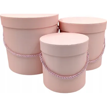 Obraz Flower box krabička sada 3v1 světle růžová