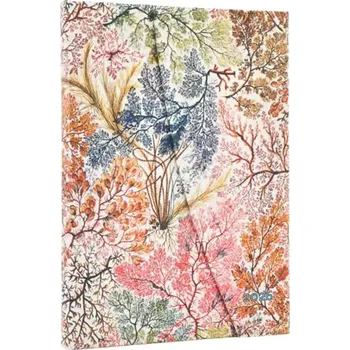 Diář PAPERBLANKS 2026 DP 12 / Anemone / Midi / Horizontal