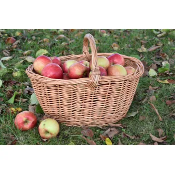 Nákupní košík Vingo Proutěný košík na houby Rozměry (cm): 31x25, v. 31