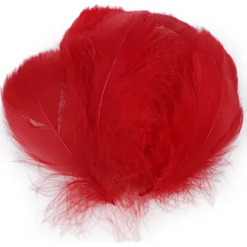 Pštrosí peří délka 6-11 cm, malé, 4 červená