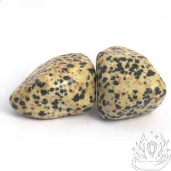 Jaspis dalmatinový - XL (3 - 4 cm)