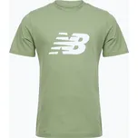Pánské tričko New Balance Graphic V Flying oregano