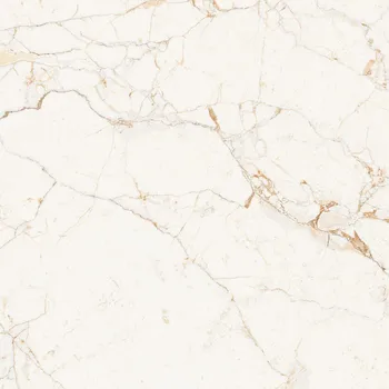 Dlažba Dlažba Gobi lesk 80x80 cm