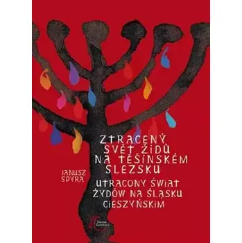 Ztracený svět Židů na Těšínském Slezsku (Janusz Spyra, 2013)