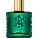 Roberto Cavalli Uomo Verde Assoluto parfémová voda pánská 100 ml
