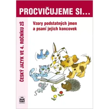 Český jazyk Vzory a psaní koncovek podstatných jmen (, 2005)