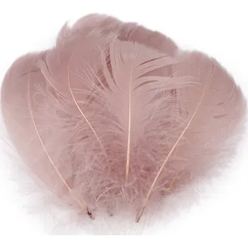 Pštrosí peří délka 6-11 cm, malé, 3 starorůžová sv.