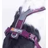 Postroj pro psa Non-stop Dogwear Line 5.0 fialový