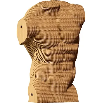 3D puzzle 3D skládačka z eko-kartonu: Mužské Torzo