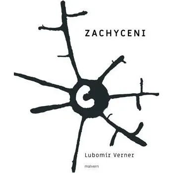 Zachyceni