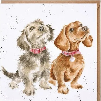 Party dekorace Přání 15 x 15 cm "Treat Time" Wrendale Designs - pejsci