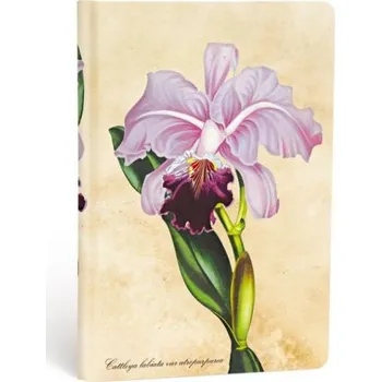 Blok Zápisník Paperblanks Brazilian Orchid Mini linkovaný (Painted Botanicals)