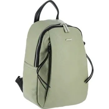 Městský batoh David Jones Dámský batoh, David Jones, různé barvy 6727-3 Barva: Stříbrná