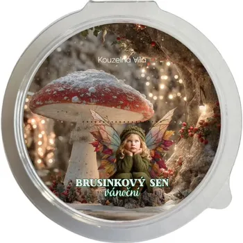Vůně do bytu Kouzelná Víla - vonný vosk Brusinkový sen, 20 g