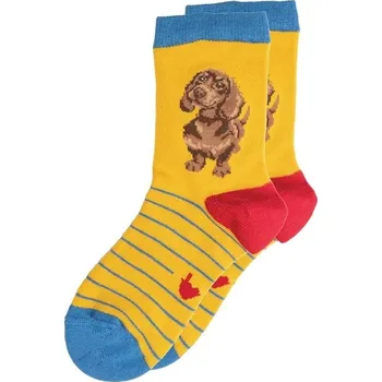 Dětské ponožky Wrendale Designs "Little One" - Pes, jezevčík, vel. 27–31