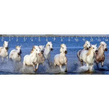 pravítka Pravítko Camarque Horses