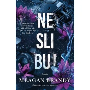 Neslibuj - Meagan Brandy (2026, brožovaná)