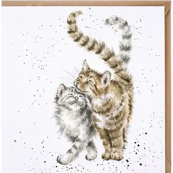 Přání 15 x 15 cm "Feline Good" Wrendale Designs - kočky