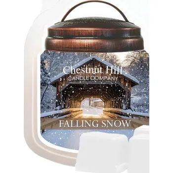 Vůně do bytu CHESTNUT HILL CANDLE vonný vosk Falling Snow, 100 g