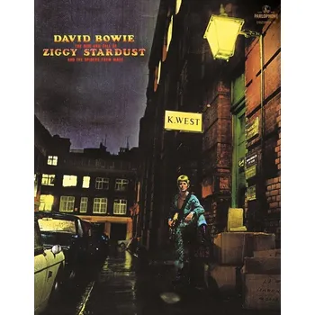 Hudba DVD David Bowie - The Rise and Fall of Ziggy Stardust and the Spiders from Mars