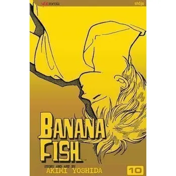 Komiks pro dospělé Banana Fish 10 - Akimi Yoshida [angličtina] (2005, brožovaná vazba, 185 stran)