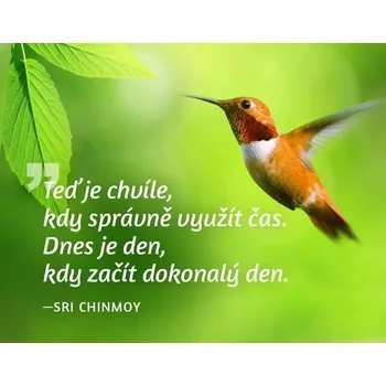 Dekorativní magnet Magnet na lednici - Teď je chvíle, kdy správně využít čas. Dnes je den, kdy začít dokonalý