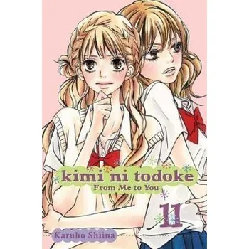 Beletrie pro dospělé Kimi ni Todoke: From Me to You, Vol. 11