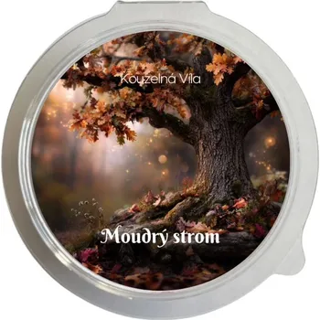 Vůně do bytu Kouzelná Víla - vonný vosk Moudrý strom, 20 g