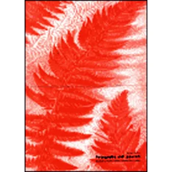 Populárně naučná literatura pro dospělé Fotografie vidí povrch