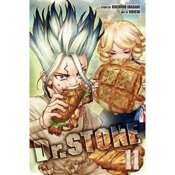 Komiks pro dospělé Dr. Stone 11