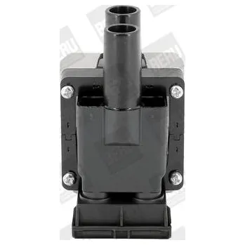 Zapalovací cívka Zapalovací cívka BorgWarner (BERU) ZS313