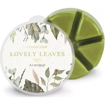 Vůně do bytu GOOSE CREEK CANDLE vonný vosk Lovely Leaves, 59g