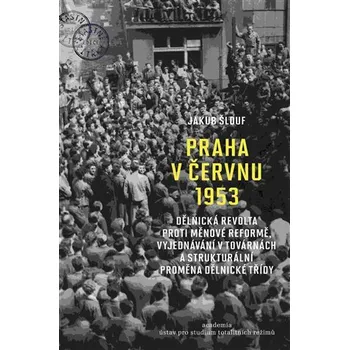 Kniha Praha v červnu 1953